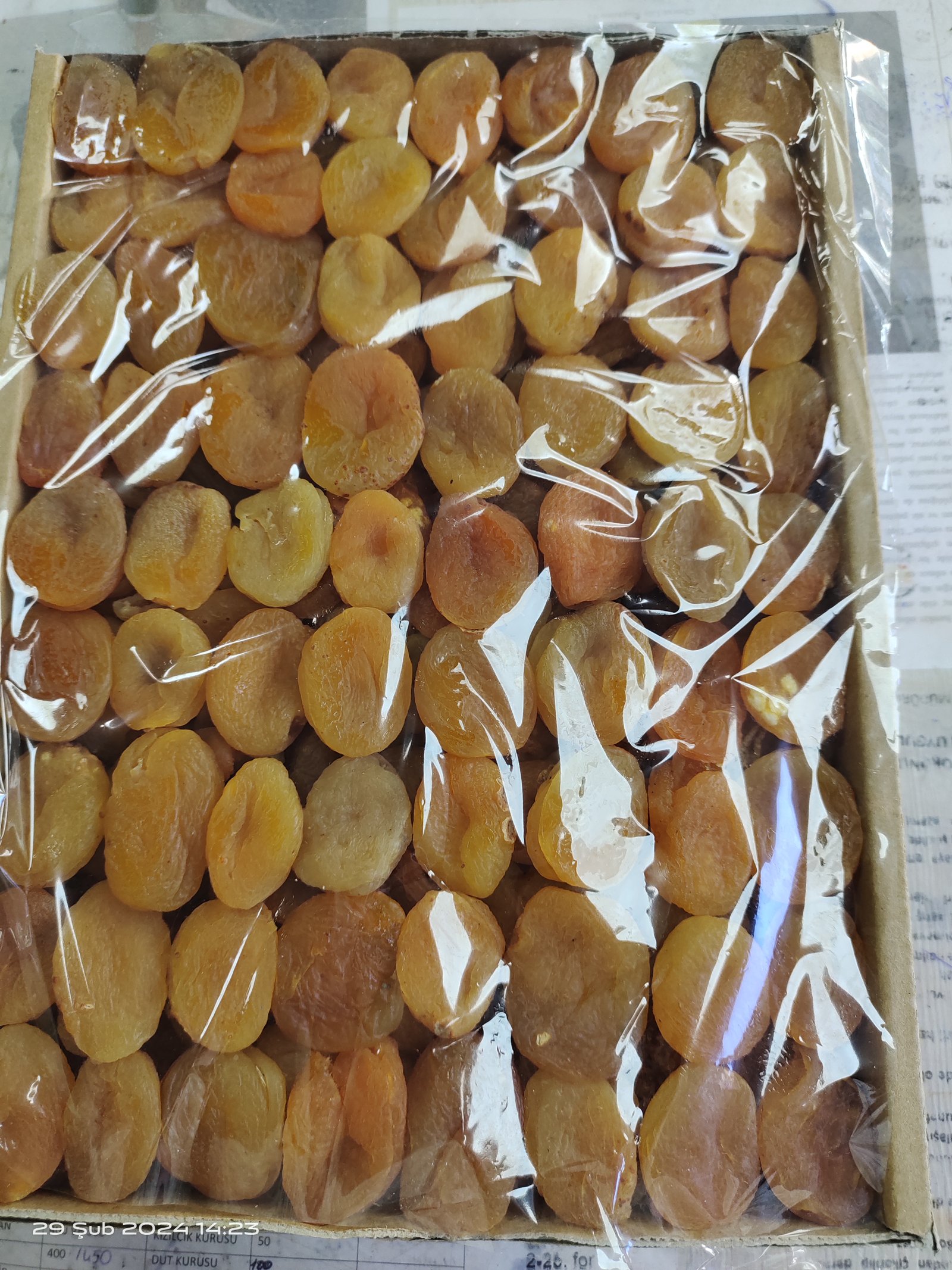 sari-kayisi